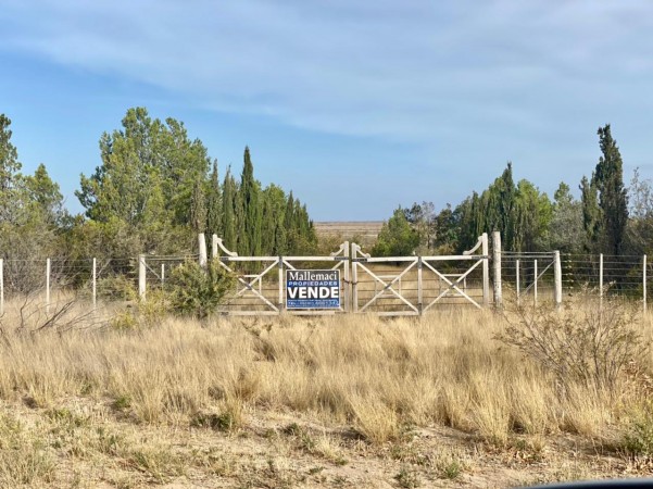 OPORTUNIDAD - Excelente terreno de 2 ha