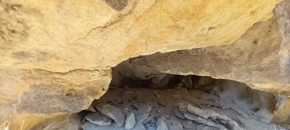 CAMPO en LOS ALTARES con VIÑEDO FUNCIONANDO