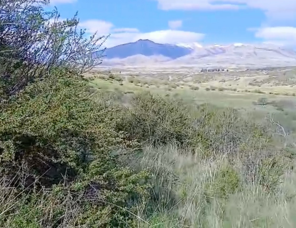 10 HECTAREAS EN LA CORDILLERA 