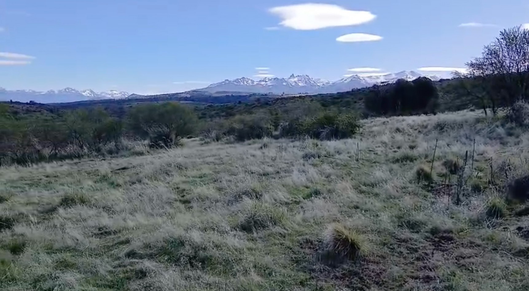 10 HECTAREAS EN LA CORDILLERA 