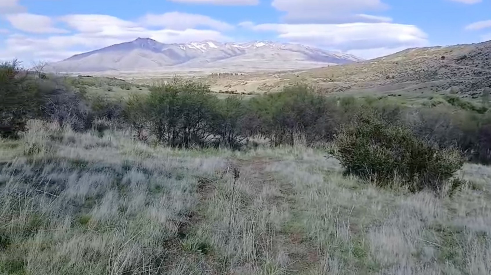 10 HECTAREAS EN LA CORDILLERA 