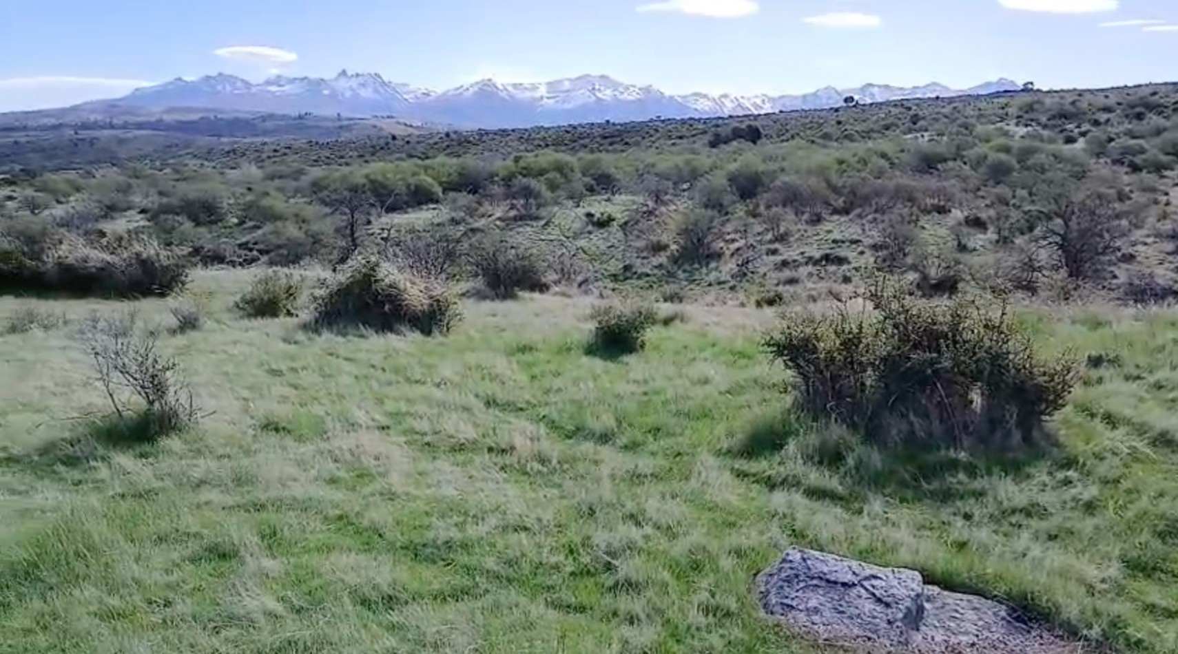 10 HECTAREAS EN LA CORDILLERA 