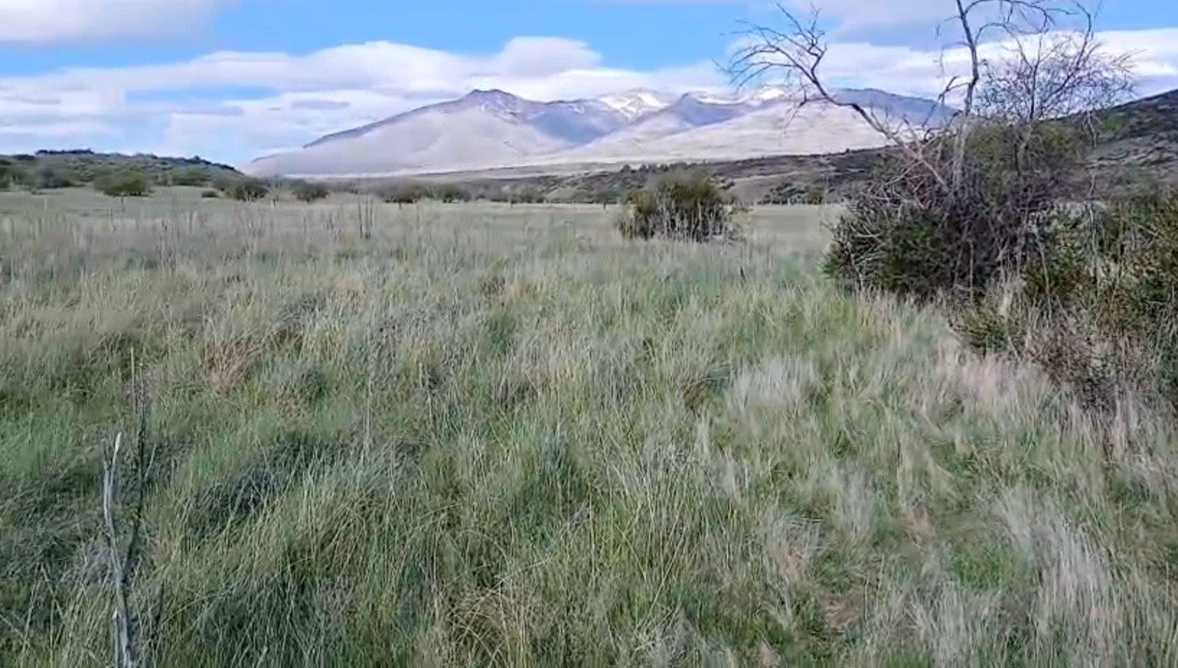 10 HECTAREAS EN LA CORDILLERA 