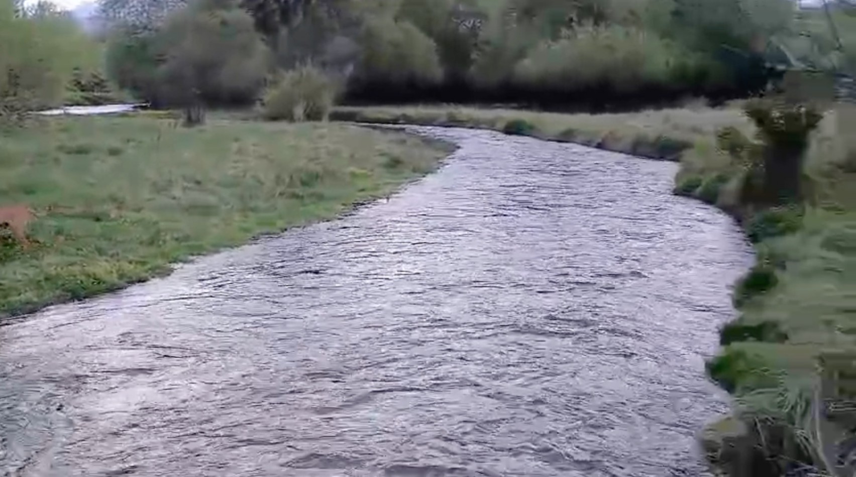10 HECTAREAS CON COSTA DE RIO 
