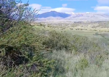 10 HECTAREAS EN LA CORDILLERA 